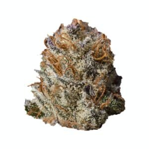 import placeholder for 1187