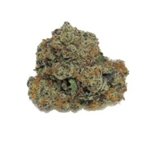 import placeholder for 1183