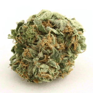 Buy ak 47 bud strain Ultimate choice for stoners