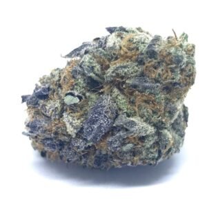 import placeholder for 1172