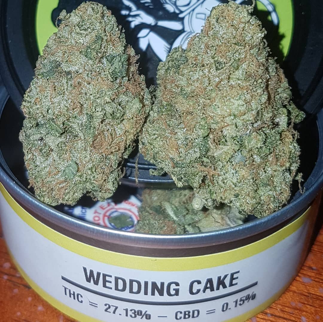 import placeholder for 1872 Buy Wedding Cake Weed Online