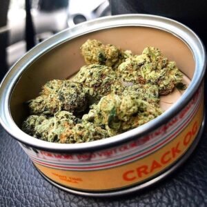 INDICAS most people search for this category because it gives the best feeling in respect to stonner vibes, connect with today and get the best