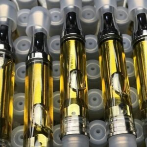 import placeholder for 1557