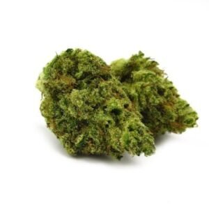 import placeholder for 1189