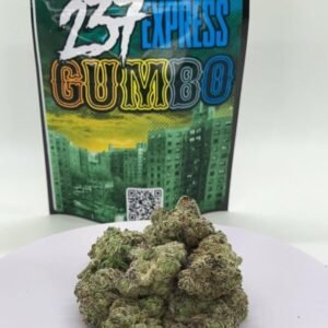Buy Gumbo Strain nyc is a new strain that was introduced to the market some  months back. The strain has increasingly become popular and loved by many