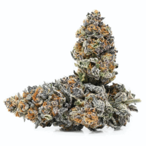 Sunset Sherbet Strain, Why is it spelled “sherbet” but pronounced “sherbert”? That’s one of many possible questions for you to ponder as you partake in the hazy, relaxing high of Sunset Sherbet