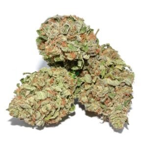 import placeholder for 1185