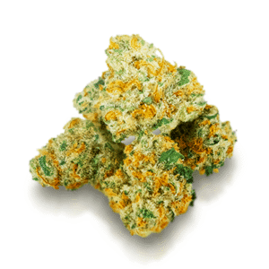 import placeholder for 1358