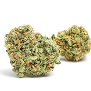 import placeholder for 1182