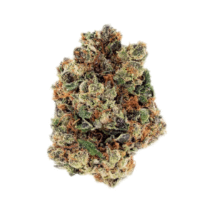 import placeholder for 1118