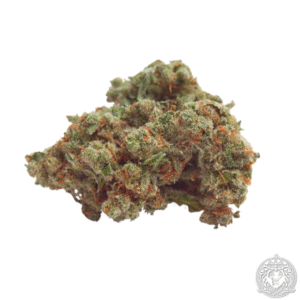 import placeholder for 1122