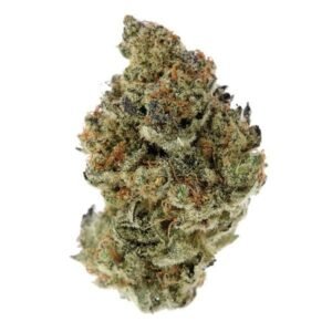 import placeholder for 1133