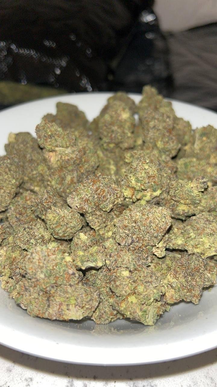 import placeholder for 15917 Jealousy Strain Cannabis is a top-tier hybrid that has quickly become a favorite among cannabis enthusiasts for its potent effects, striking appearance..