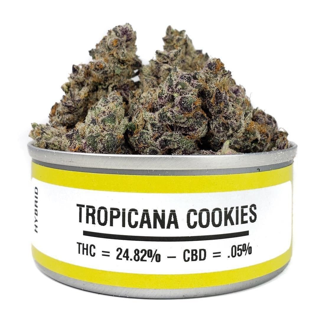 Space Monkey Meds is proud to introduce its Tropicana Cookies, a selectively bred Hybrid of GSC crossed with Clementine.