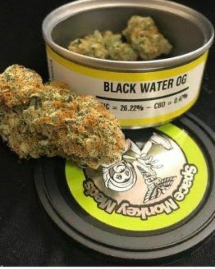 import placeholder for 1866 Black Water Og Online : Black water is an indica strain typically bred from Mendo Purps and San Fernando Valley OG Kush. Its compact buds take on...