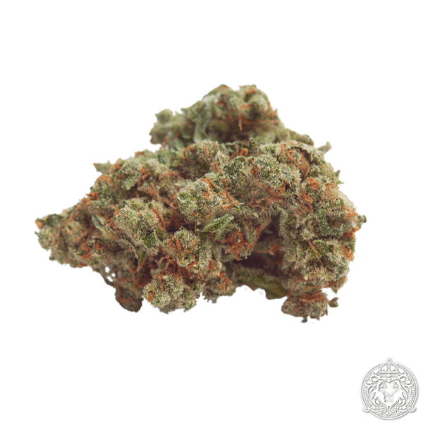 import placeholder for 1122