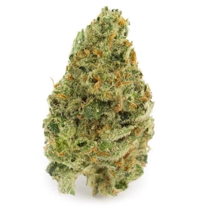 import placeholder for 1134 Buy super Lemon Haze kush