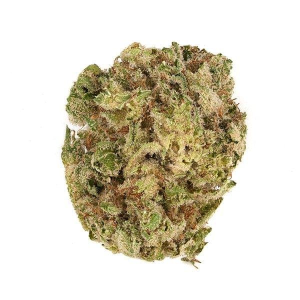 import placeholder for 1120