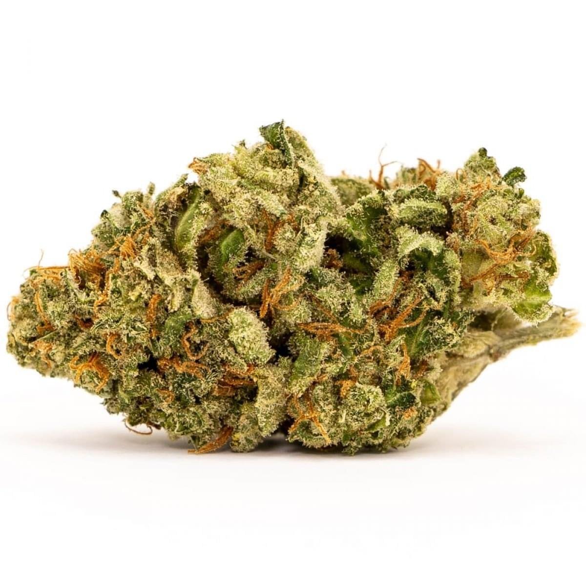 best White Widow, is a hybrid strain that many have been familiar with since the early 90's. This strain has global popularity and can easily be found..