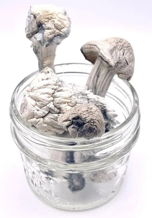 import placeholder for 1423